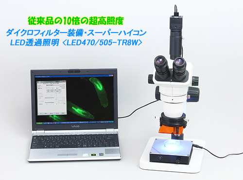 実体顕微鏡用LED透過照明【光学・みかん】ショップサイト