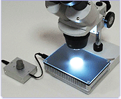実体顕微鏡用LED透過照明装置