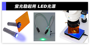 蛍光励起・LED照明装置・光源